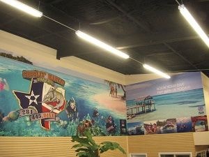 Wall Murals and Graphics